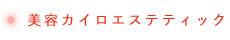 美容カイロエステティック